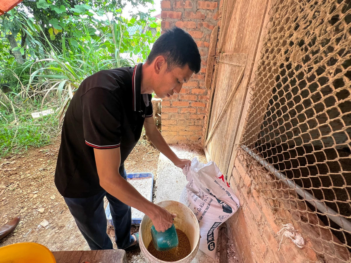 ... Lựa chọn thức ăn theo từng thời kỳ phát triển của gà...