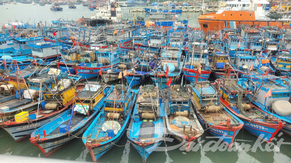 DấuĐậu tránh bão095344[1]