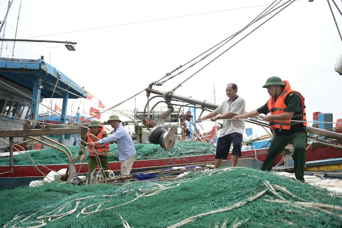 ảnh to bài chính 45