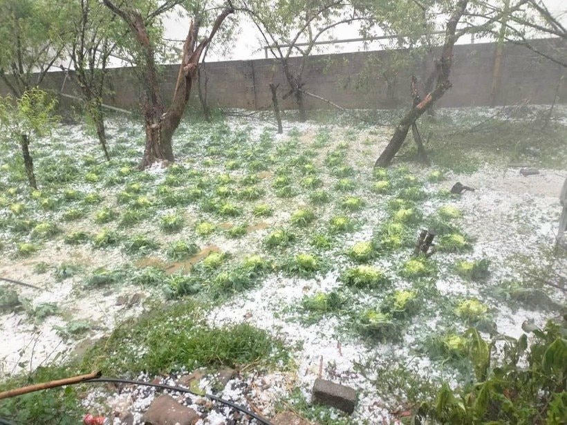 Trận mưa đá diễn ra trong khoảng thời gian ngắn nhưng đã gây thiệt hại lớn cho người dân.