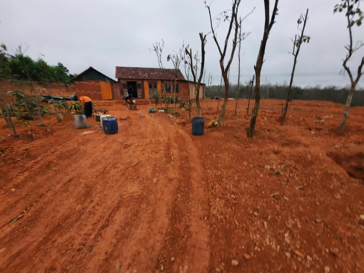 Vẫn chưa có thống kê về việc người dân xây dựng, trồng cây trái phép nhằm “đón đầu” hưởng lợi từ việc GPMB thi công cao tốc (Ảnh: DL).