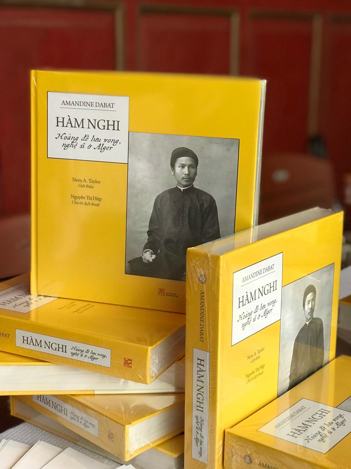 bia sach Ham Nghi Hoang de luu vong 2