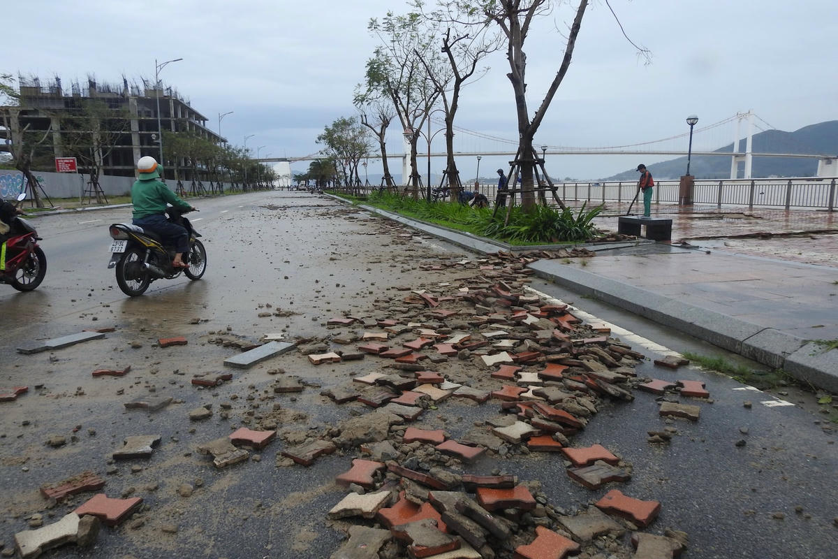 Ảnh 2. kè Như Nguyệt2847