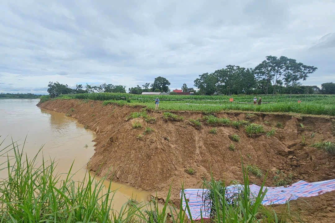 Bờ sông Chu sạtẢnh sạt lở