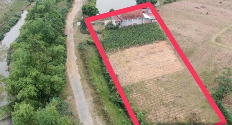 Khu đất của 8 hộ dân được