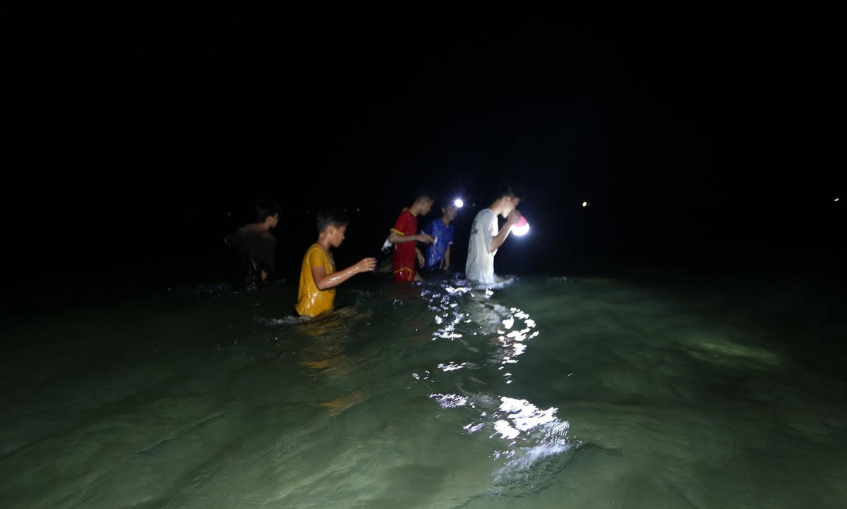 Người dân lội dọc bờ biển Bình Minh bắt bạch tuộc.