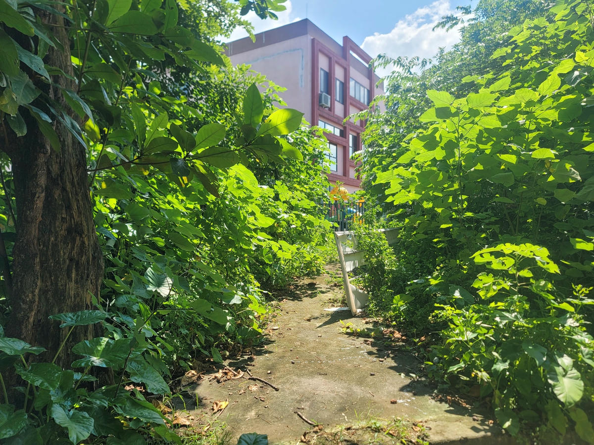 Cơ sở mới trường mầm non Hoàng Liệt cách ngôi trường bị bỏ hoang chưa đến 100m.