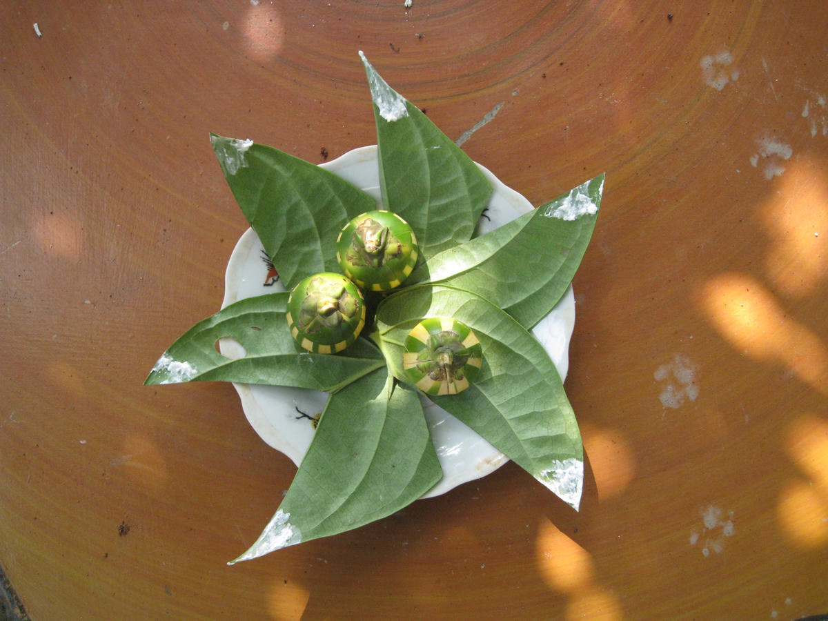 Ăn trầu không thể thiếu vôi. Ảnh: Thư Hoàng.  