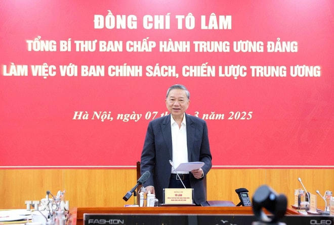 Tổng Bí thư Tô Lâm. (Ảnh: Phương Hoa/TTXVN) ttxvn-tong-bi-thu-to-lam-lam-viec-voi-ban-chinh-sach-chien-luoc-trung-uong-7900483-4-resize.jpg