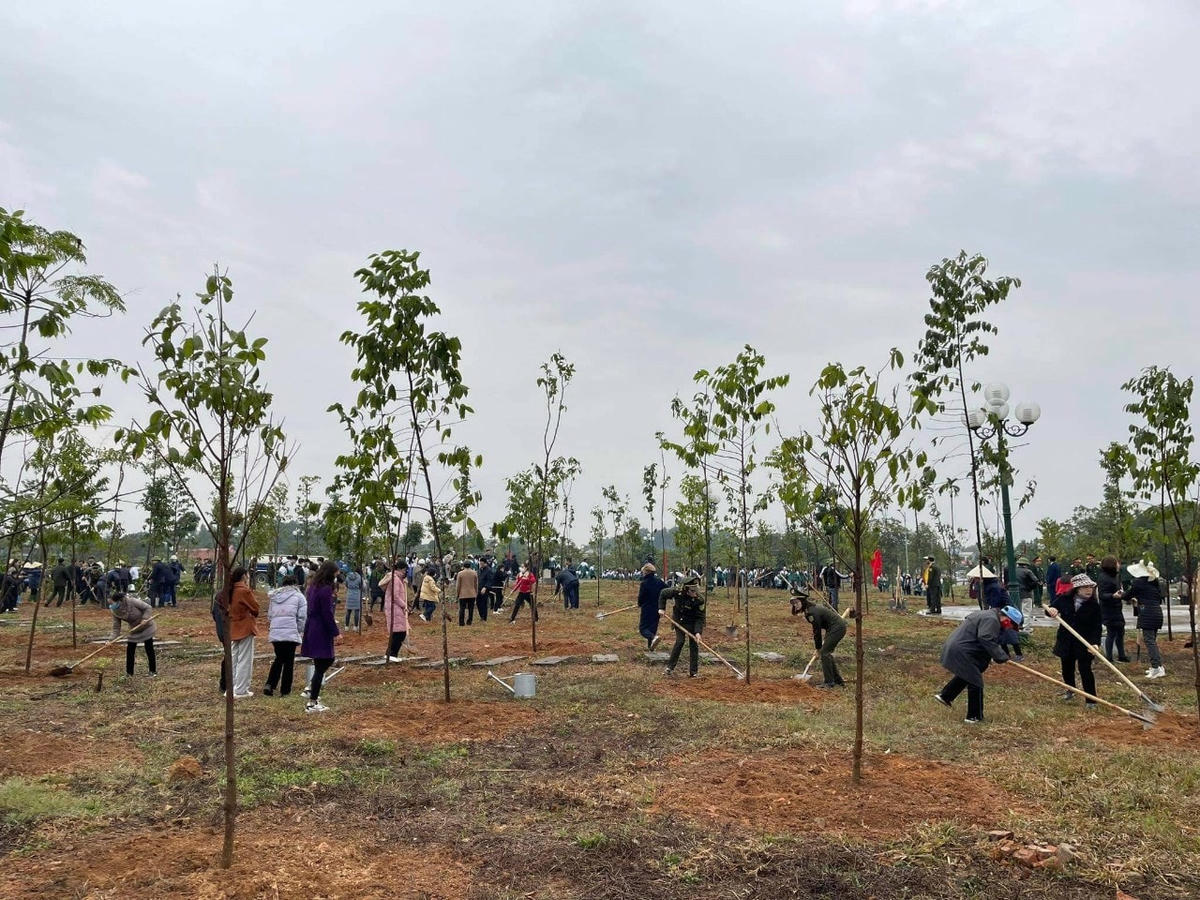 Lễ phát động Tết trồng cây ở Phú Thọ thu hút nhiều người tham gia