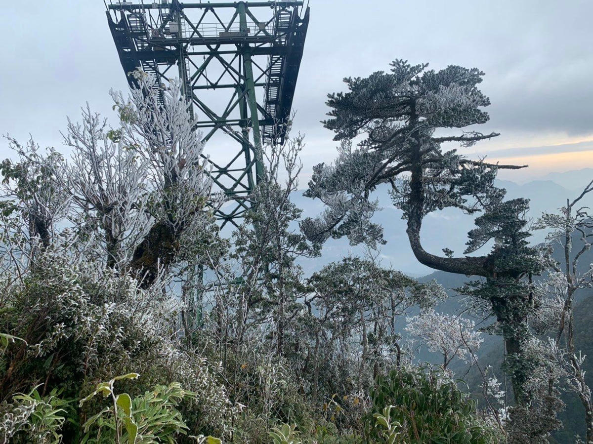 Đợt rét đậm rét hại trong tháng 12 vừa qua, đỉnh Fansipan đã xuất hiện băng giá. Ảnh: Công ty Cáp Treo Fansipan.  