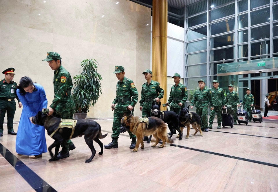 Đội chó nghiệp vụ trở về sau hơn một tuần hoàn thành nhiệm vụ tại Myanmar. (Ảnh: An Đăng/TTXVN)