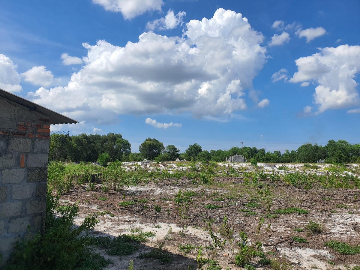 Một loạt thủ tục pháp lý liên quan đến dự án nhà máy chế biến nông sản hữu cơ Đại Nam Ong Biển vẫn chưa được thực hiện.