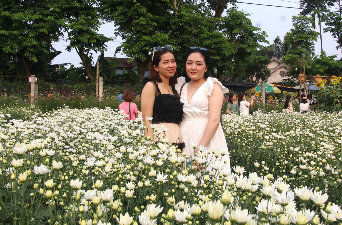 Các bạn trẻ chụp hình lưu niệm bên vườn hoa cúc trắng.