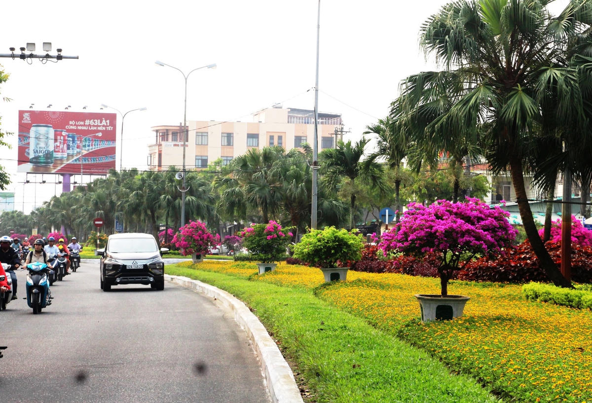 Một góc phố Tam Kỳ đang rực rỡ với các loài hoa