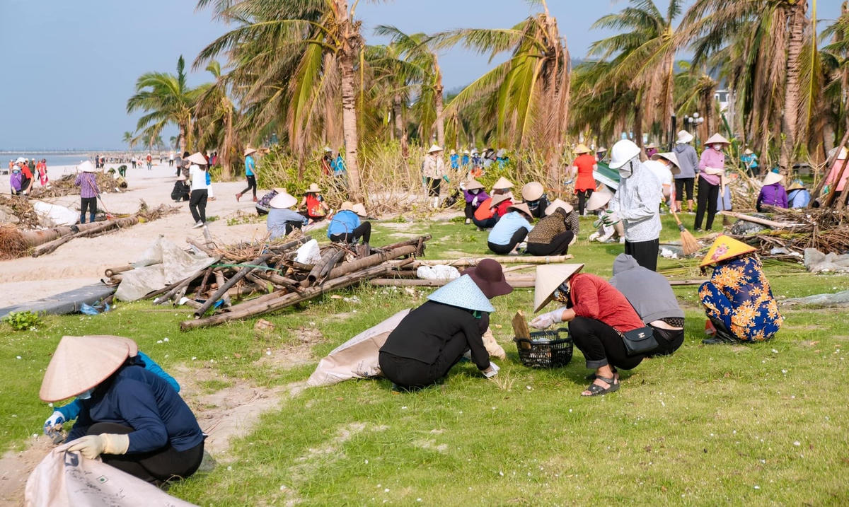 Rác trên bãi biển Hạ Long Marina đều được thu gom sạch sẽ và đưa đi tiêu hủy theo quy định.