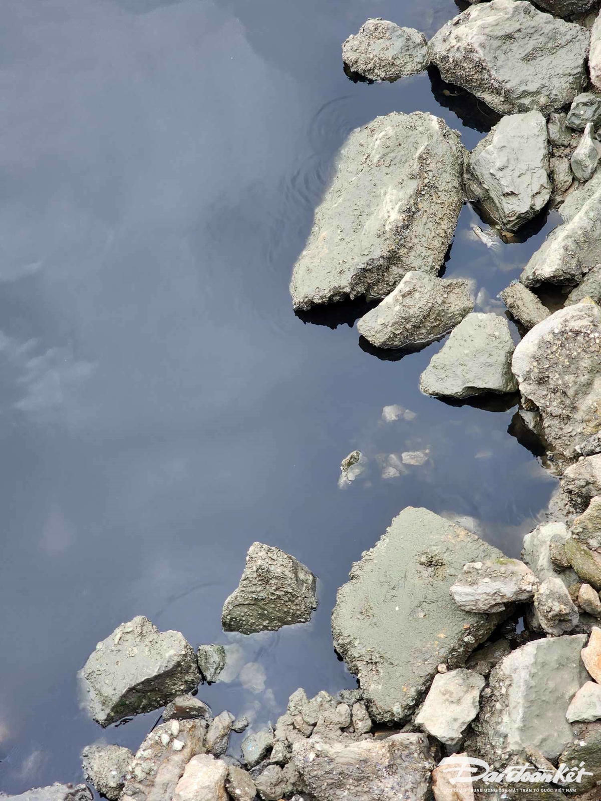 Người dân cho biết,