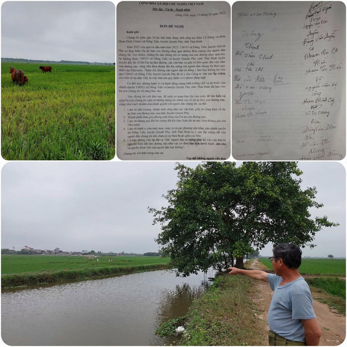 Người dân bức xúc vì đất trồng lúa nhà mình bất ngờ bị san ủi.