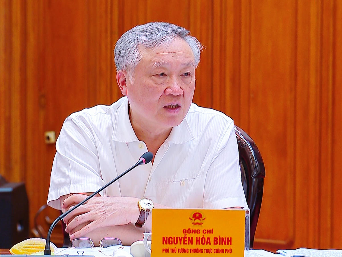 Thường trực Chính phủ cho ý kiến về 4 nội dung quan trọng- Ảnh 3. Thường trực Chính phủ cho ý kiến về 4 nội dung quan trọng- Ảnh 3.