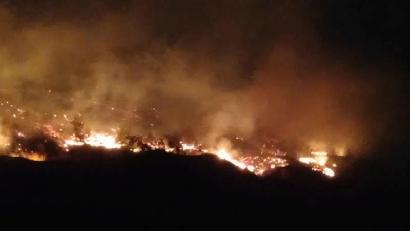 Phó Thủ tướng chỉ đạo tập trung khắc phục hậu quả do cháy rừng tại Quảng Ninh- Ảnh 1. Phó Thủ tướng chỉ đạo tập trung khắc phục hậu quả do cháy rừng tại Quảng Ninh- Ảnh 1.