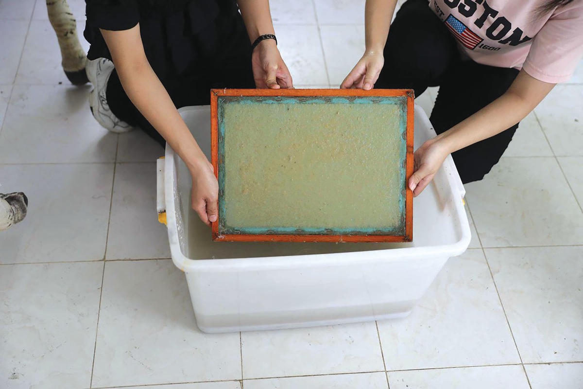 Bột phân voi được dàn mỏng để làm giấy.  