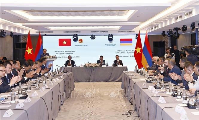 Chủ tịch Quốc hội Trần Thanh Mẫn dự Tọa đàm doanh nghiệp Việt Nam - Armenia- Ảnh 5.