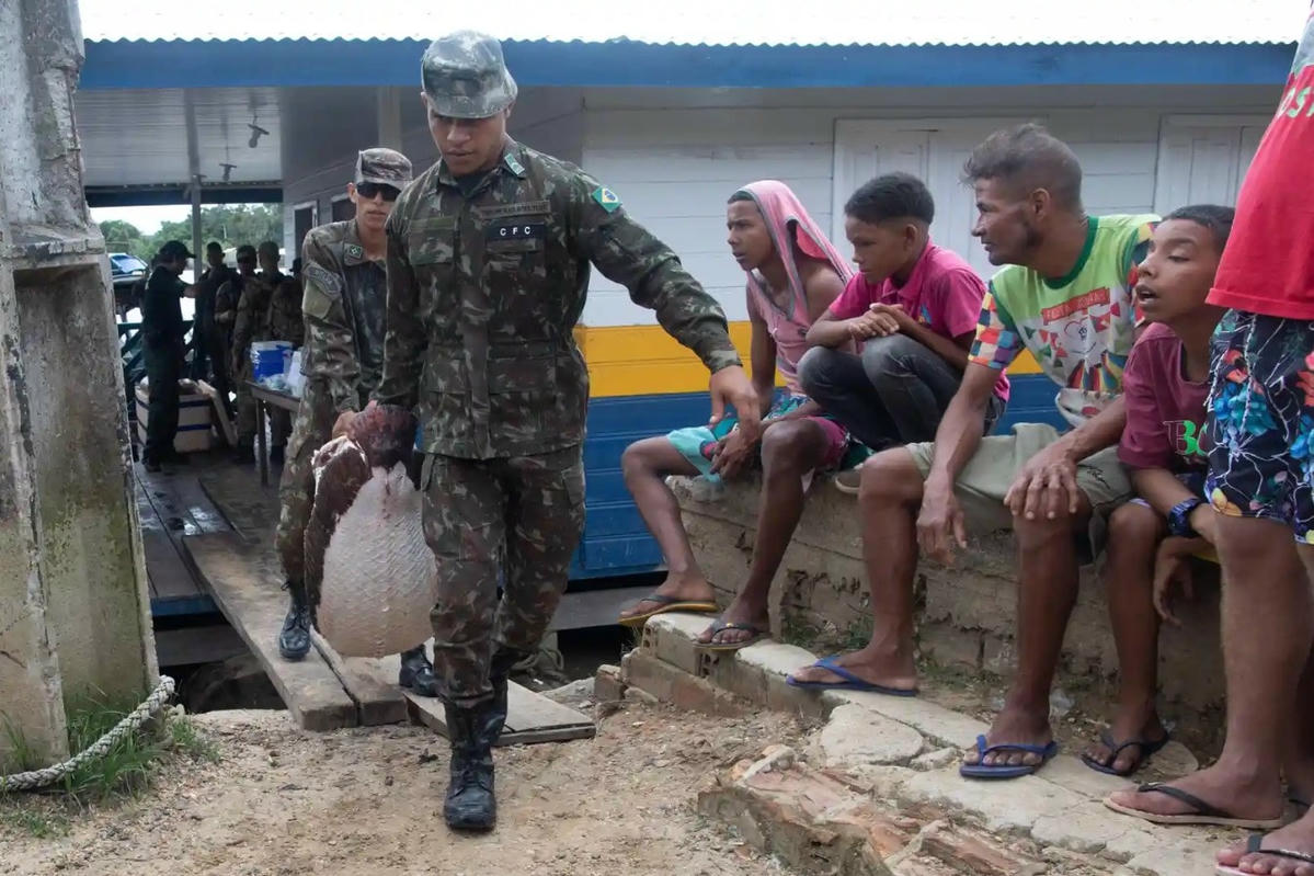 Một con cá pirarucu bị quân đội bắt giữ sau cuộc điều tra của cảnh sát liên bang khám nghiệm một chiếc tàu bị lực lượng đặc nhiệm bắt giữa tại Atalaia do Norte, Amazonas. Ảnh: AFP.