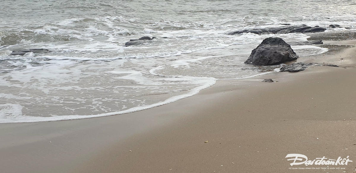 484976125_3131848493636151_9207883301878133431_n (1)