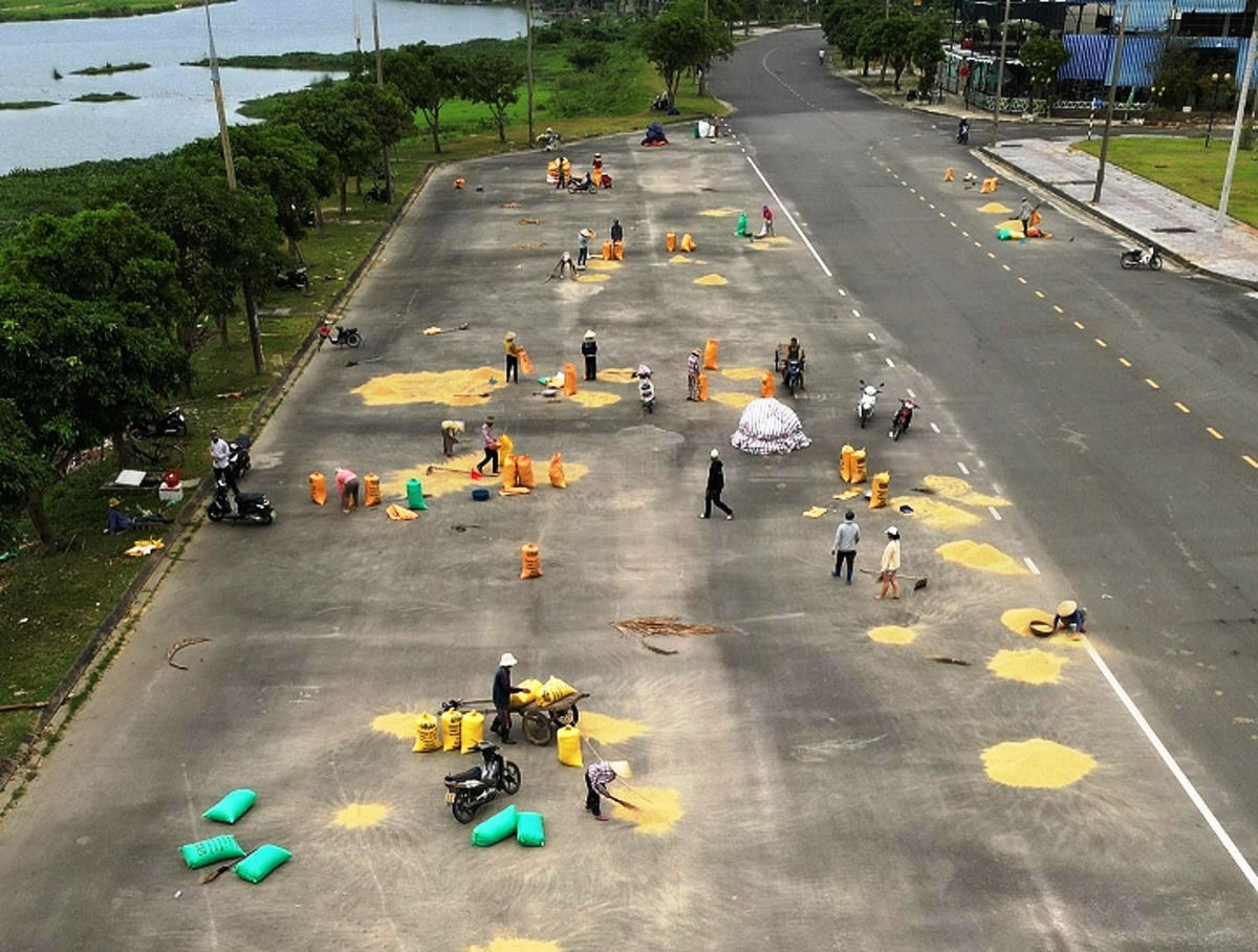 Người dân tranh thủ trời nắng nóng phơi lúa.