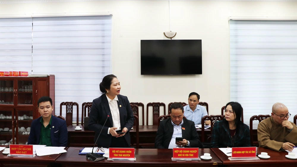 Đại diện các doanh nghiệp đóng góp ý kiến vào dự thảo Luật Đất đai (sửa đổi).