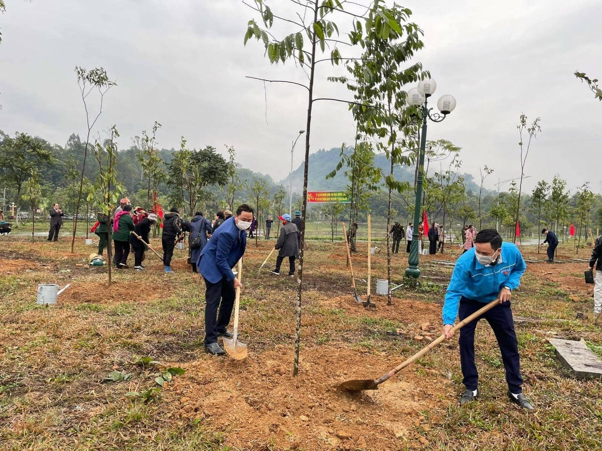 Hành động này góp phần phủ xanh đồi trọc, phát triển kinh tế địa phương