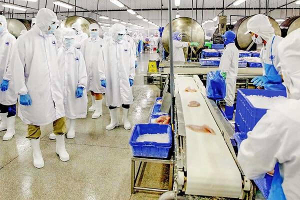 Doanh thu tháng 7 của Vĩnh Hoàn đạt gần 1.200 tỷ. Ảnh minh họa