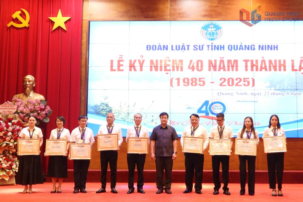 Đồng Lê Văn Ánh, Phó Chủ tịch UBND tỉnh