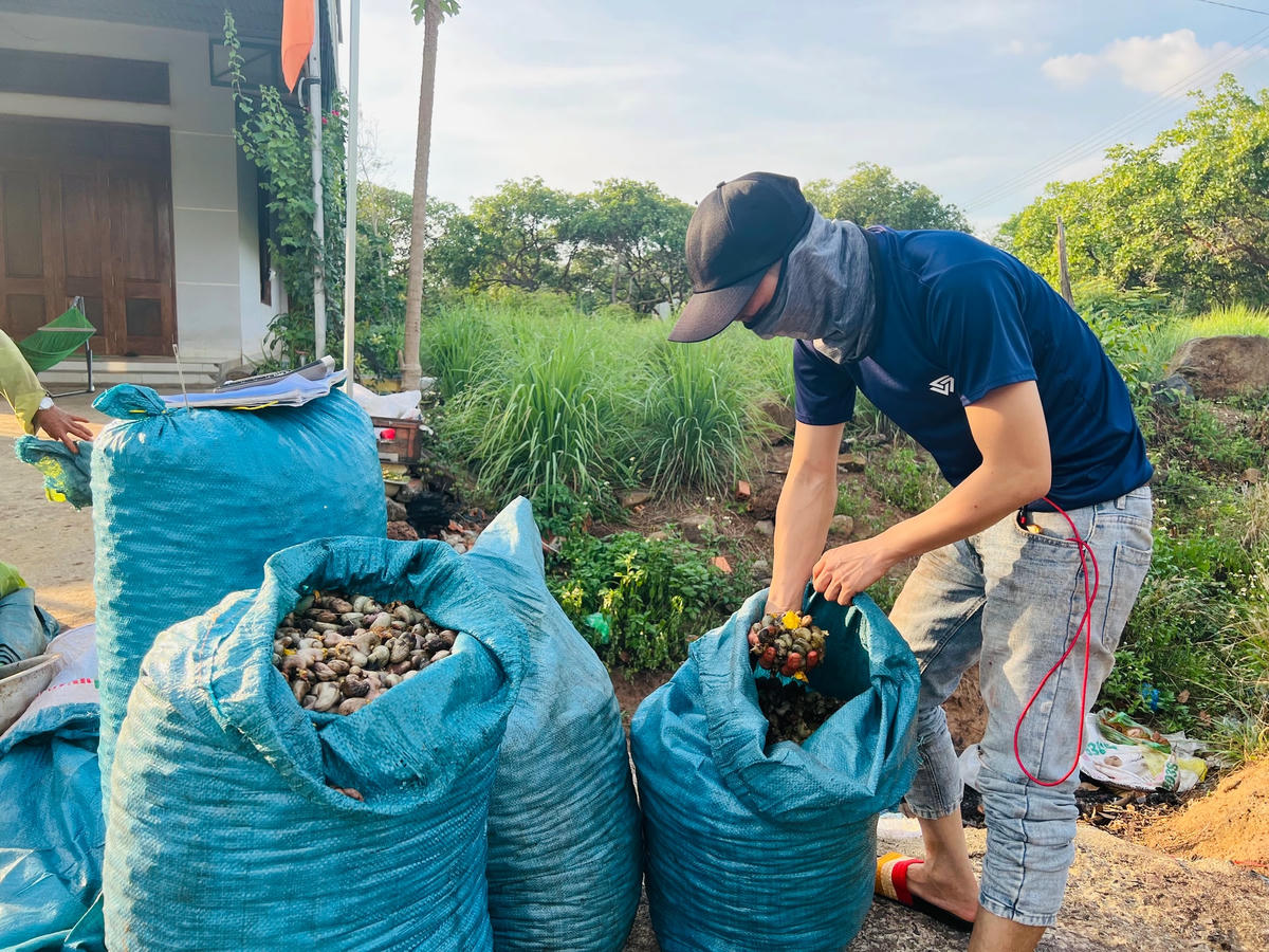 Chủ vựa thu mua điều trên địa bàn tỉnh Đắk Lắk.