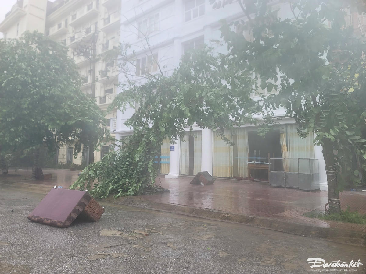 Ghế sofa của một nhà hàng bị gió cuốn ra ng đường. Ảnh: Quốc Thanh.