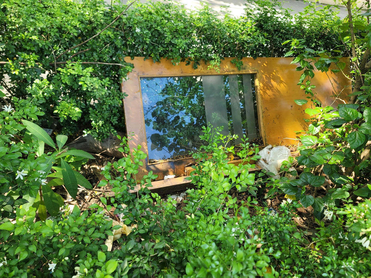 Cỏ dại tốt lút, hoang dại, người dân ngang nhiên vứt rác.