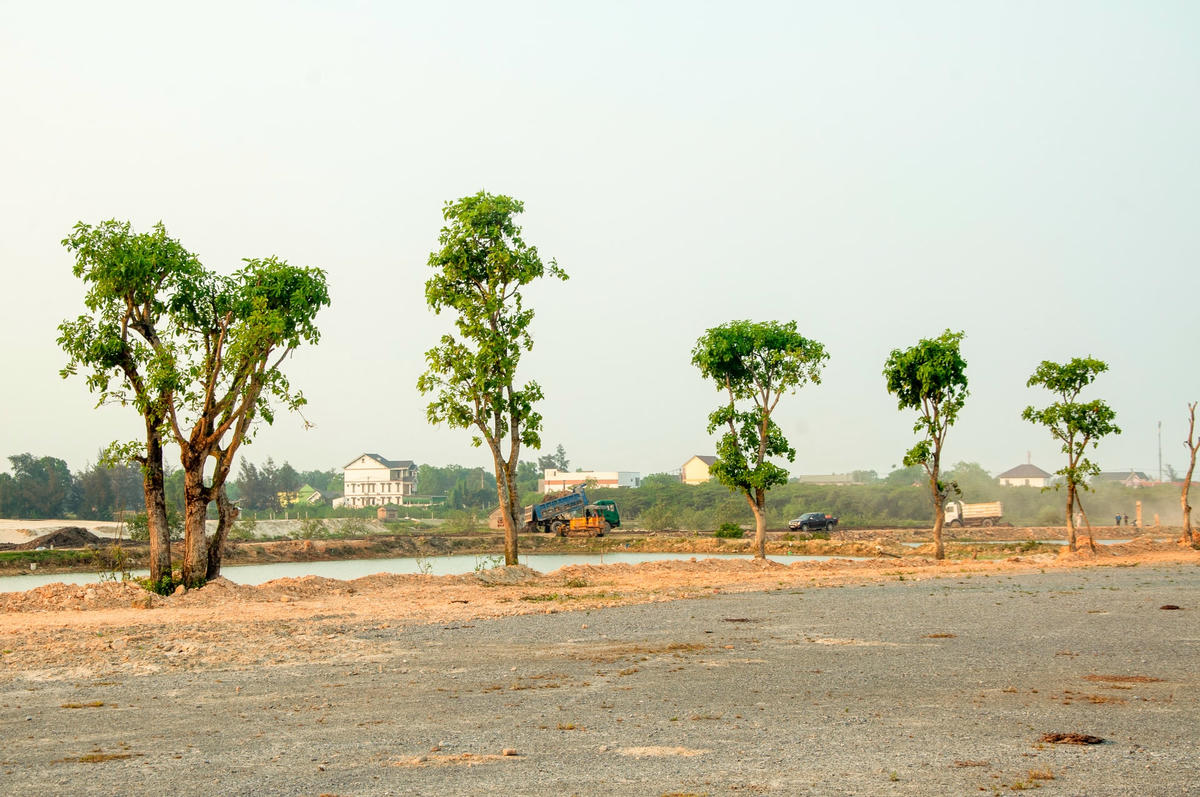 Và, trồng một số cây xanh…