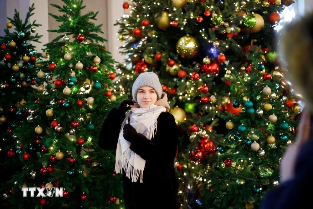 Người dân đổ ra đường chào đón Giáng sinh và Năm mới. (Ảnh: Trần Hiếu/TTXVN) ttxvn_cay thong.jpg