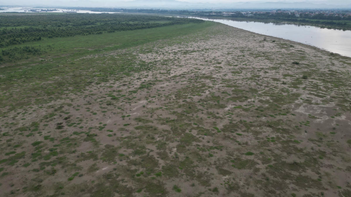 Hàng trăm ha đất công ích đã bị UBND phường Minh Nông cho thuê trái thẩm quyền, HTX Nông nghiệp Minh Nông cho thuê không đúng thẩm quyền.