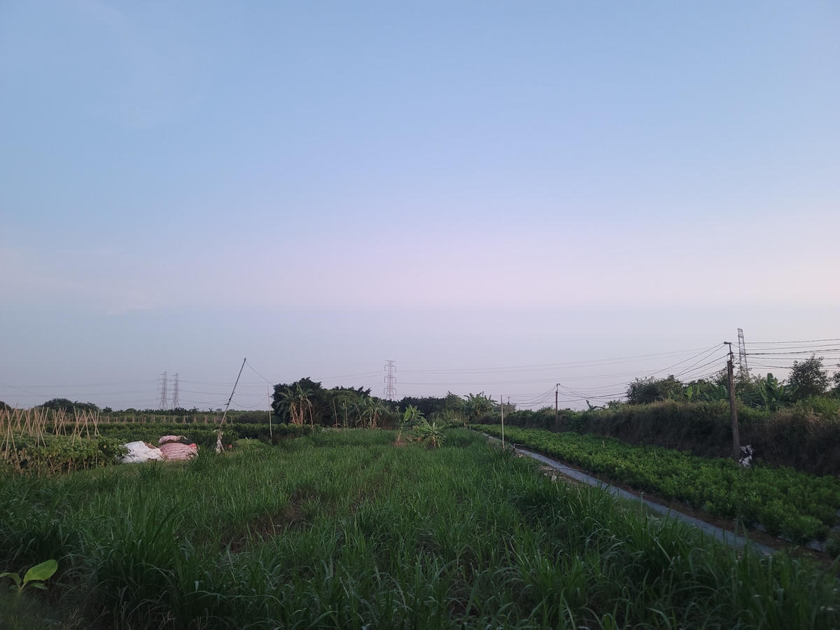 Khu vực phát hiện thi thể cháu bé 21 tháng tuổi bị bắt cóc, sát hại.