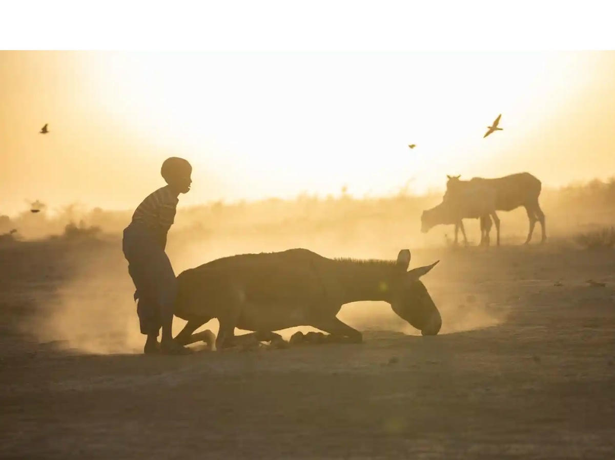Những người sống ở làng Gebiass, một trong những khu vực bị ảnh hưởng nặng nề nhất tại Ethiopia. Ảnh: UNICEF.