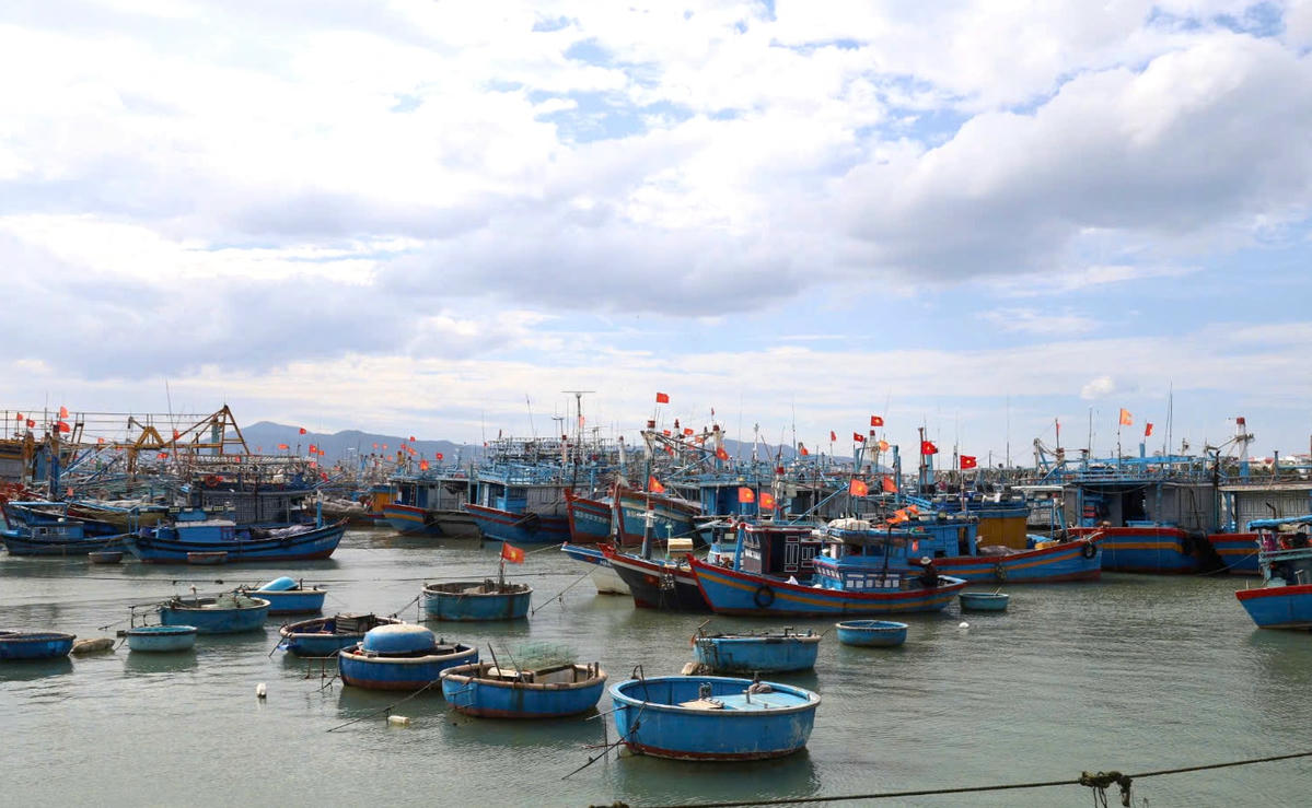 Dự án Khu neo đậu tránh trú bão đầm Đề Gi được Bộ Nông nghiệp và Phát triển nông thôn (nay là Bộ Nông nghiệp và Môi trường) phê duyệt từ tháng 11_2022