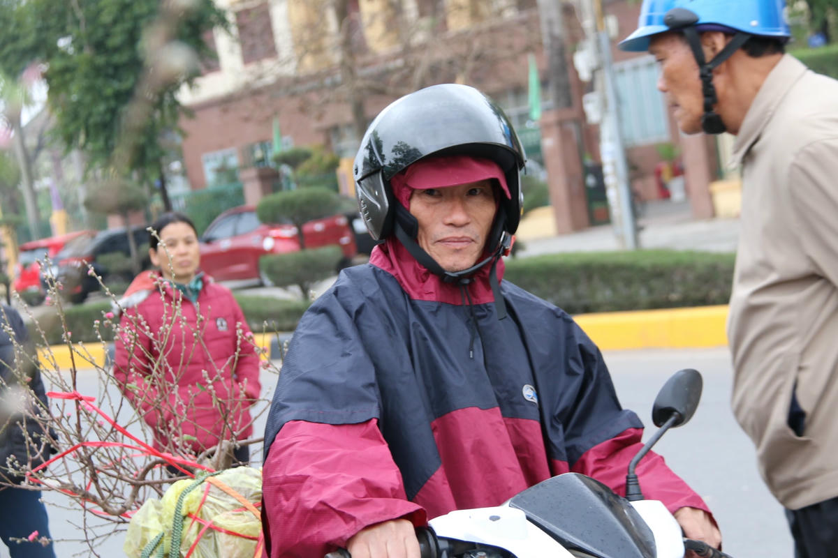 Nhiều người dân lựa chọn hoa đào về trưng bày Tết.