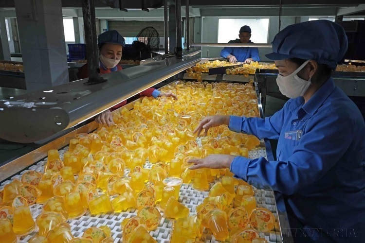 Dây chuyền sản xuất thạch rau câu và các sản phẩm có nguyên liệu chính từ cây rong sụn của Công ty Trách nhiệm Hữu hạn Long Hải, Cụm công nghiệp 1, xã Gia Xuyên, thành phố Hải Dương, xuất khẩu đến nhiều thị trường như Nga, Đức, Trung Quốc, Lào, Campuchia… (Ảnh: Trần Việt/TTXVN)