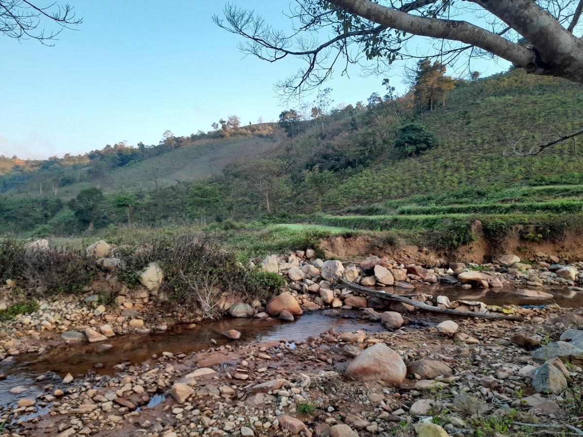 Bà con dân tộc thiểu số nghèo rất cần đất để canh tác, sản xuất và ổn định đời sống. Ảnh: Thanh Phương