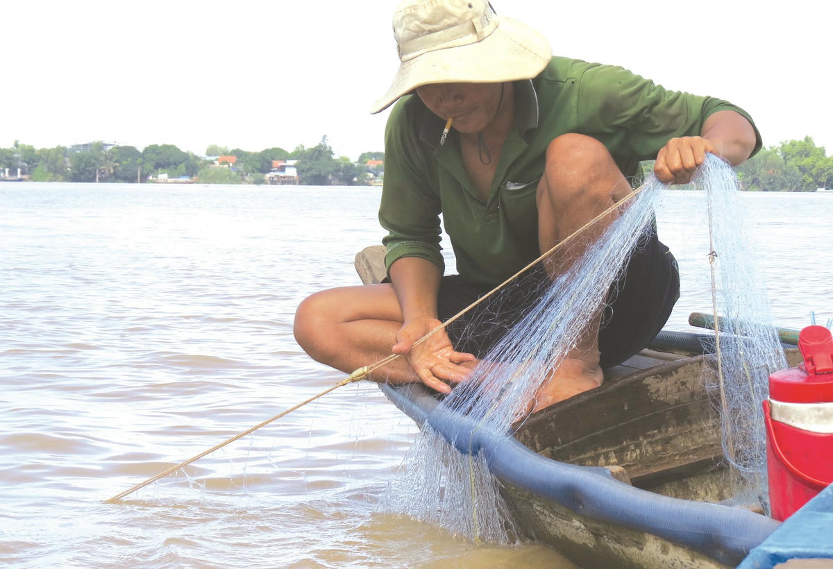 Ảnh 1-Đỏ mắt chờ mùa nước nổi