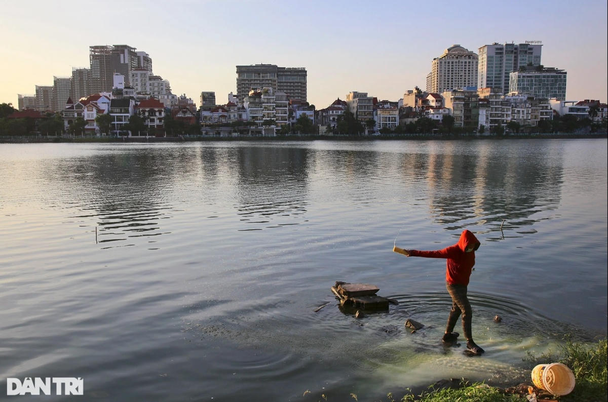 Hình ảnh các tòa nhà tại vị trí thuộc bán đảo Quảng An.
