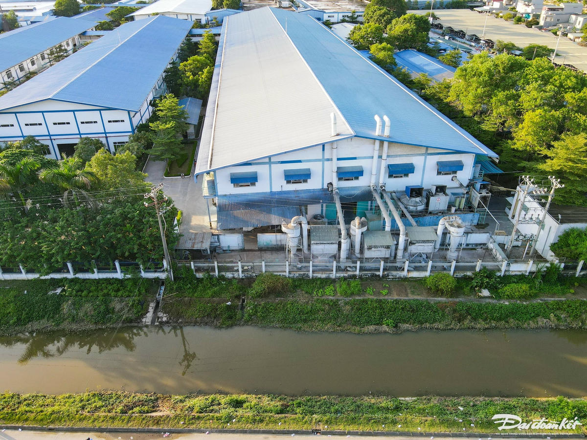 Phía sau 2 cống thải của Công ty Giầy Sun Jade, nước đã chuyển sang màu nâu đậm. Ảnh: Đình Minh chụp chiều 17/10.