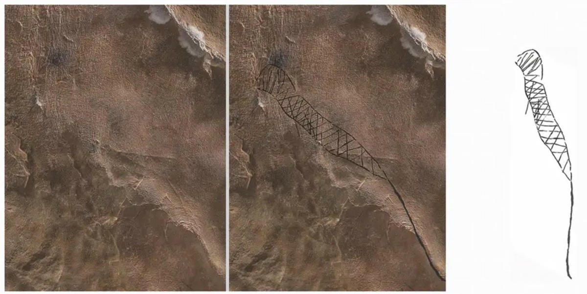 Một con rắn. Ảnh: Insider.