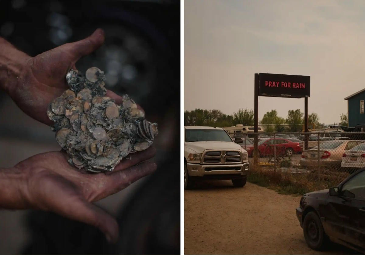 Một nắm xu bị cháy đen ở Las Vegas cùng tấm biển cầu mưa. Ảnh: The Guardian.